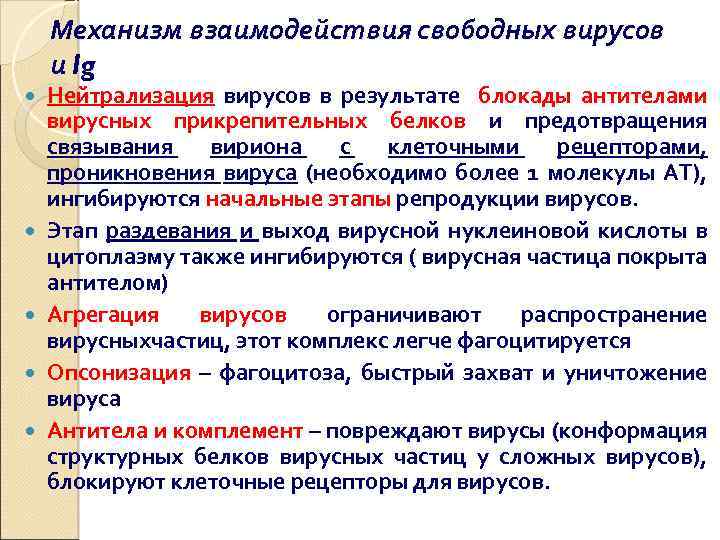 Механизм взаимодействия свободных вирусов и Ig Нейтрализация вирусов в результате блокады антителами вирусных прикрепительных