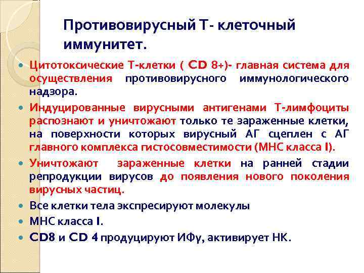 Противовирусный Т- клеточный иммунитет. Цитотоксические Т-клетки ( CD 8+)- главная система для осуществления противовирусного