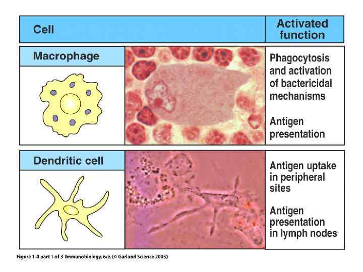 Figure 1 -4 part 1 of 3 