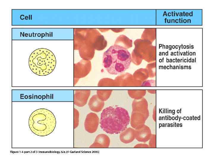 Figure 1 -4 part 2 of 3 