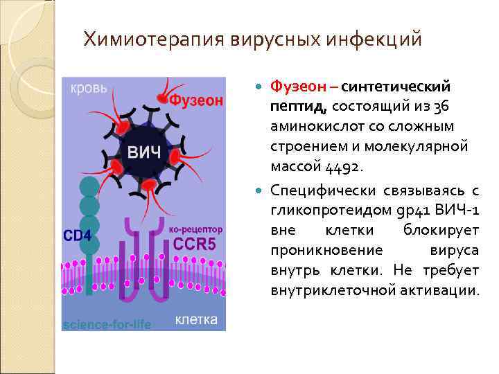 Химиотерапия вирусных инфекций