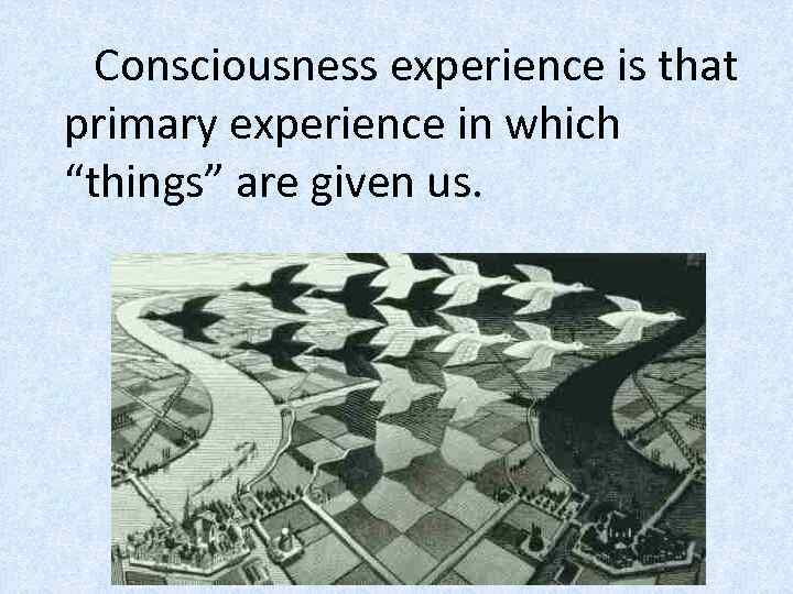 Consciousness experience is that primary experience in which “things” are given us. 