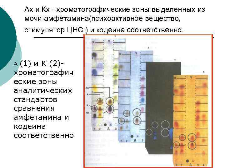 Ах и Кх - хроматографические зоны выделенных из мочи амфетамина(психоактивное вещество, стимулятор ЦНС )