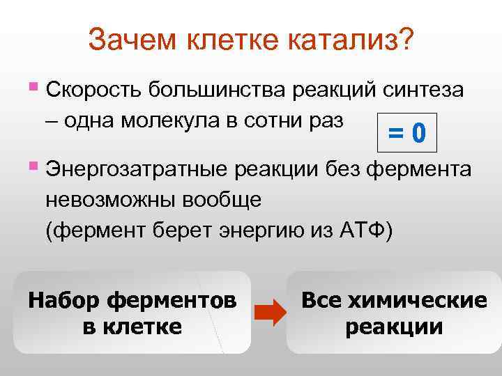 Зачем клетке катализ? § Скорость большинства реакций синтеза – одна молекула в сотни раз