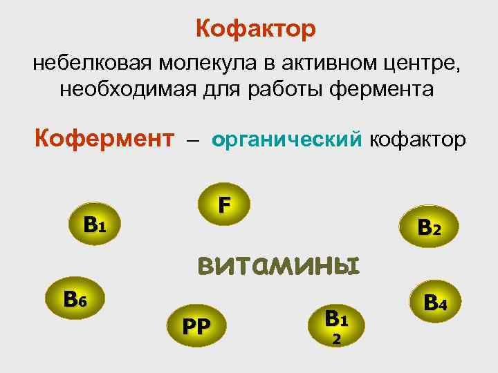 Кофактор небелковая молекула в активном центре, необходимая для работы фермента Кофермент – органический кофактор