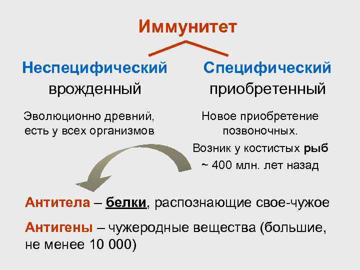 Иммунитет Неспецифический врожденный Эволюционно древний, есть у всех организмов Специфический приобретенный Новое приобретение позвоночных.
