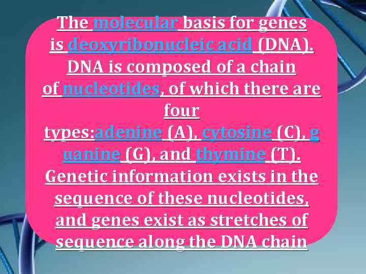 The molecular basis for genes Еңбек сіңірген is deoxyribonucleic acid (DNA). ғалымдар DNA is