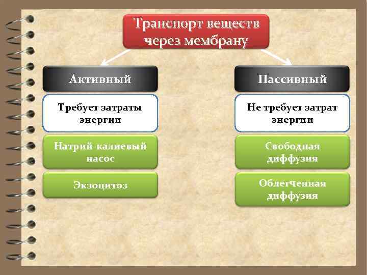 Транспорт веществ через мембрану Активный Пассивный Требует затраты энергии Не требует затрат энергии Натрий-калиевый