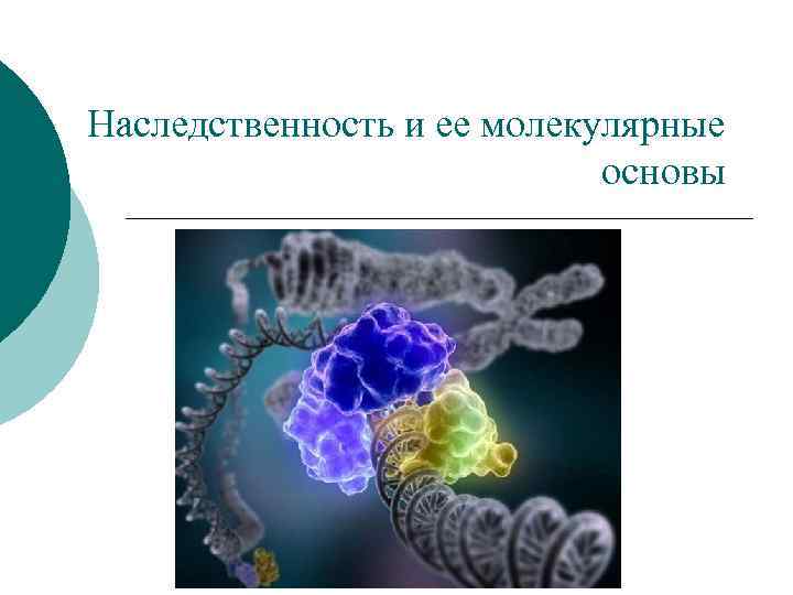 Молекулярные основы наследственности презентация