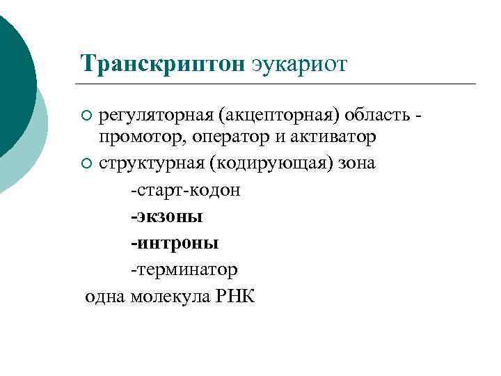 Транскриптон эукариот регуляторная (акцепторная) область - промотор, оператор и активатор ¡ структурная (кодирующая) зона