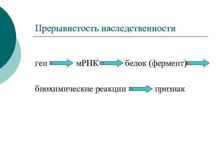 Прерывистость наследственности ген м. РНК белок (фермент) биохимические реакции признак 