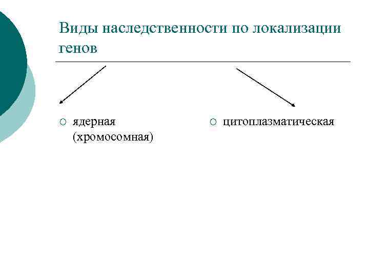 Молекулярные основы наследственности презентация