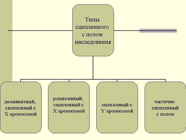 Типы сцепленного с полом наследования доминантный, сцепленный с X хромосомой рецессивный, сцепленный с X
