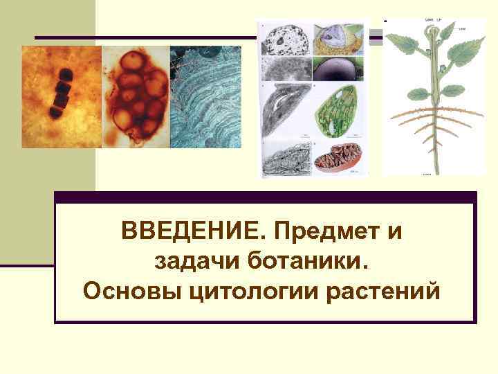 ВВЕДЕНИЕ. Предмет и задачи ботаники. Основы цитологии растений 