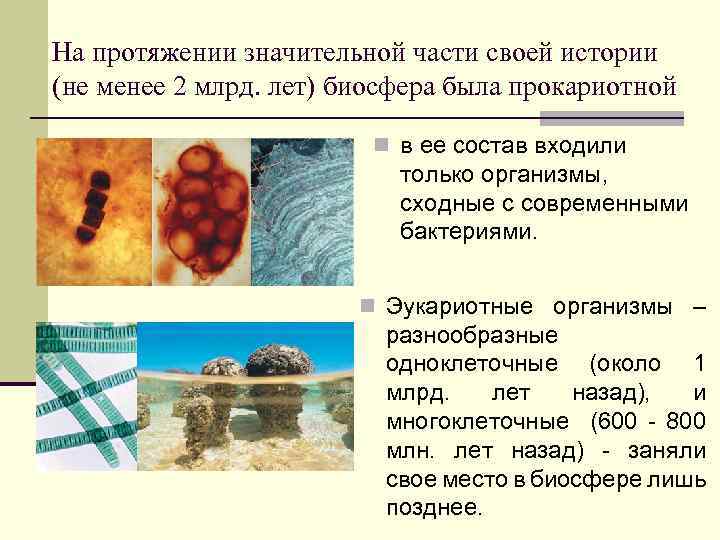 На протяжении значительной части своей истории (не менее 2 млрд. лет) биосфера была прокариотной