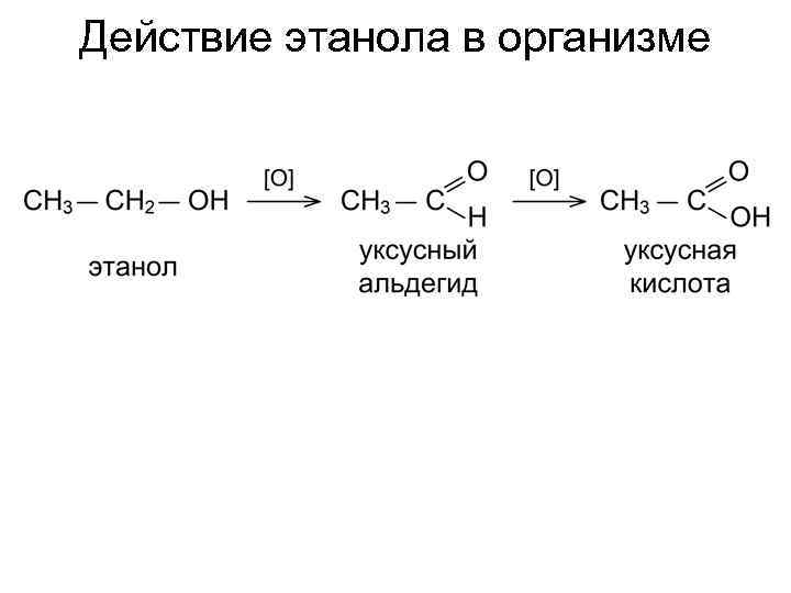 Действие этанола в организме 