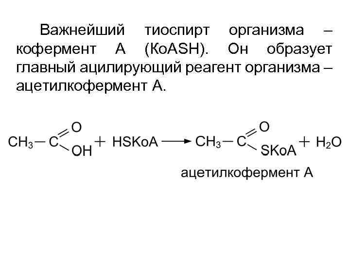 Важнейший тиоспирт организма – кофермент А (Ко. АSH). Он образует главный ацилирующий реагент организма