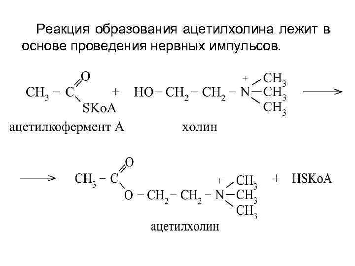 Реакция образования ацетилхолина лежит в основе проведения нервных импульсов. 