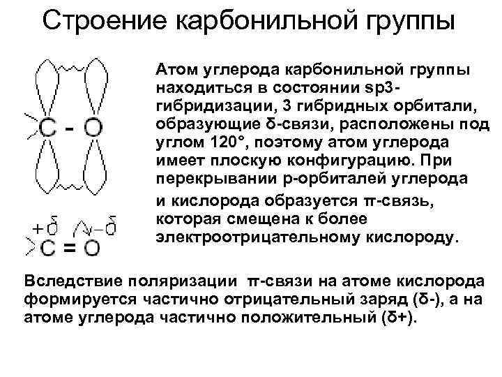 Тип гибридизации каждого атома углерода