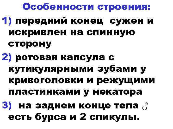 Особенности строения: 1) передний конец сужен и искривлен на спинную сторону 2) ротовая капсула