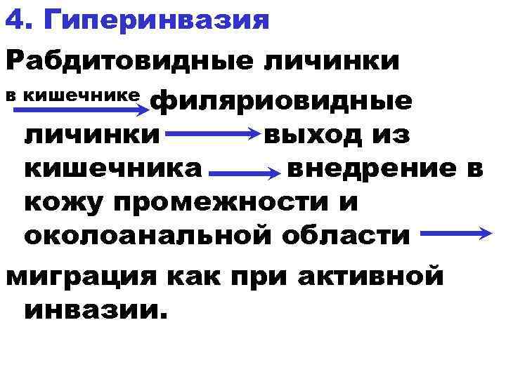 4. Гиперинвазия Рабдитовидные личинки в кишечнике филяриовидные личинки выход из кишечника внедрение в кожу
