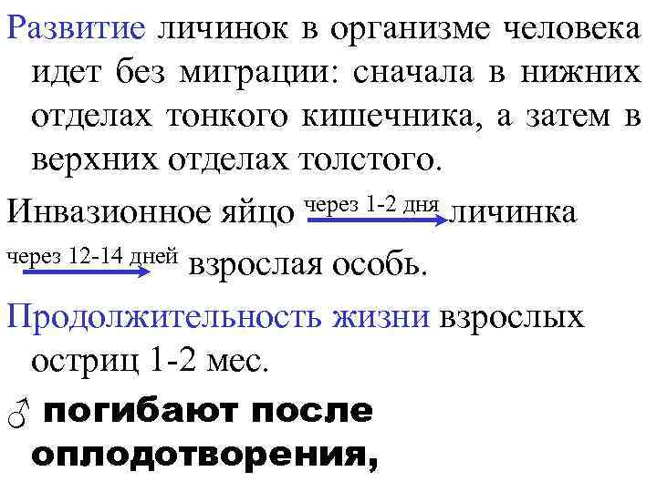 Развитие личинок в организме человека идет без миграции: сначала в нижних отделах тонкого кишечника,