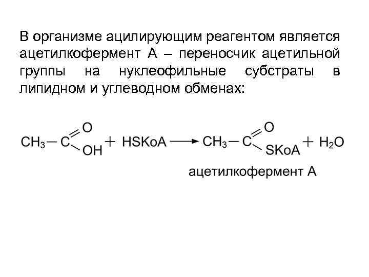 В организме ацилирующим реагентом является ацетилкофермент А – переносчик ацетильной группы на нуклеофильные субстраты
