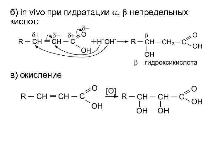 б) in vivo при гидратации a, b непредельных кислот: в) окисление 