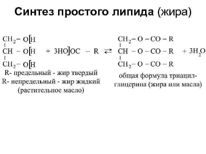 Синтез простого липида (жира) 