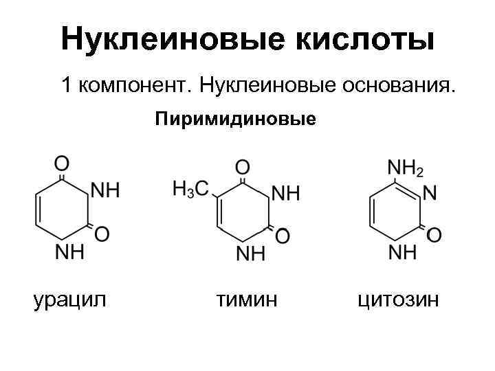 Нуклеиновые кислоты 1 компонент. Нуклеиновые основания. Пиримидиновые урацил тимин цитозин 