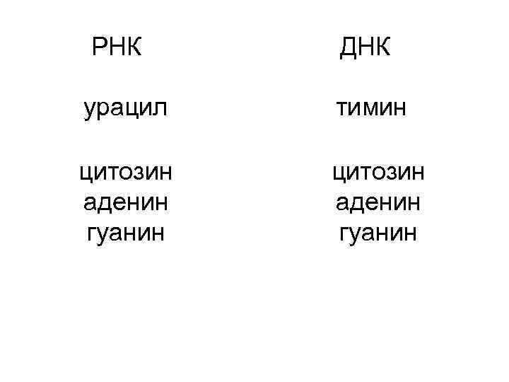 РНК ДНК урацил тимин цитозин аденин гуанин 