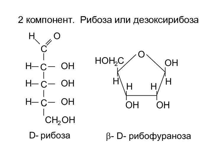 Мутаротация фруктозы схема