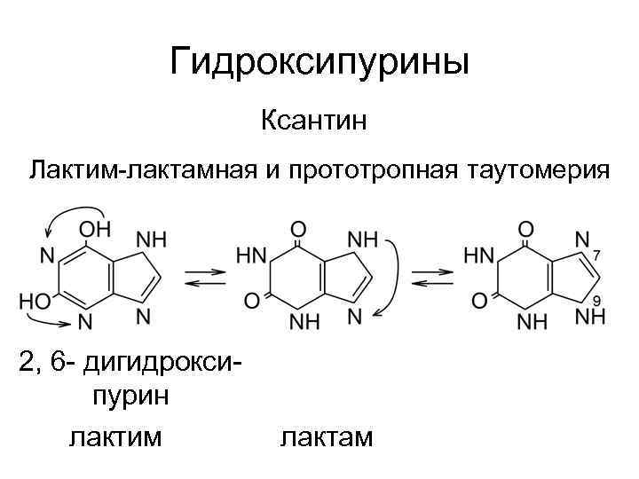 Схема таутомерных превращений гуанина - 88 фото