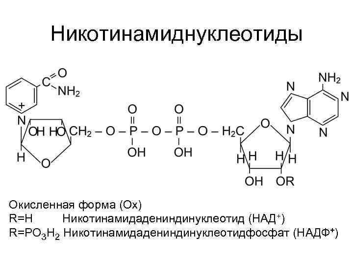 Форма никотина