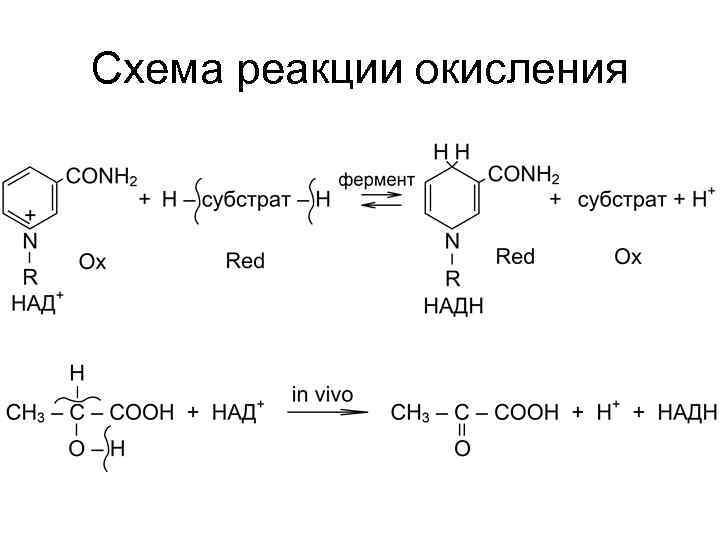 Схема реакции это