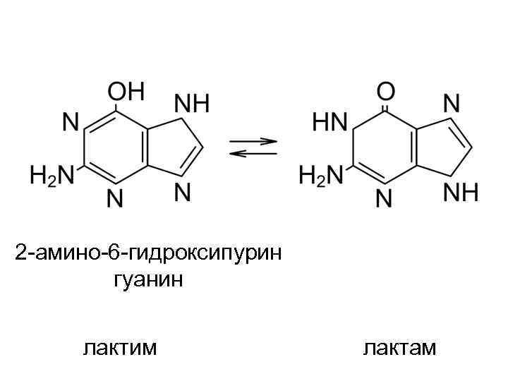 2 -амино-6 -гидроксипурин гуанин лактим лактам 