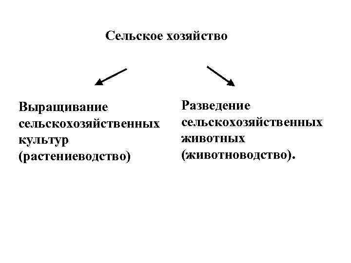 Сельское хозяйство Выращивание сельскохозяйственных культур (растениеводство) Разведение сельскохозяйственных животных (животноводство). 
