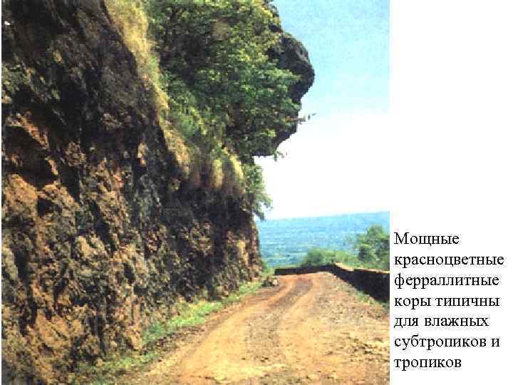 Мощные красноцветные ферраллитные коры типичны для влажных субтропиков и тропиков 