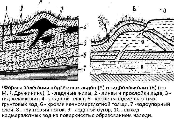  • Формы залегания подземных льдов (А) и гидролакколит (Б) (по М. К. Дружинину):