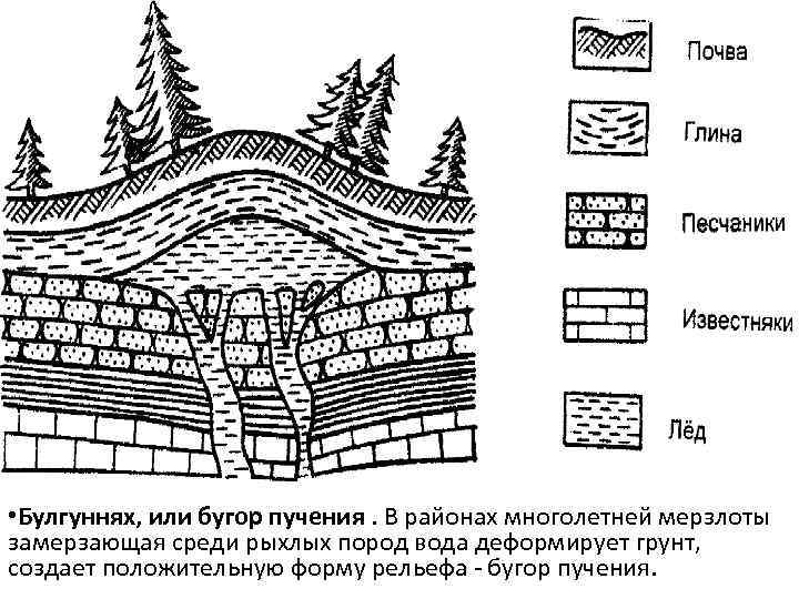  • Булгуннях, или бугор пучения. В районах многолетней мерзлоты замерзающая среди рыхлых пород