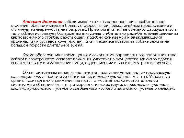Аппарат движения собаки имеет четко выраженное приспособительное строение, обеспечивающее большую скорость при прямолинейном передвижении