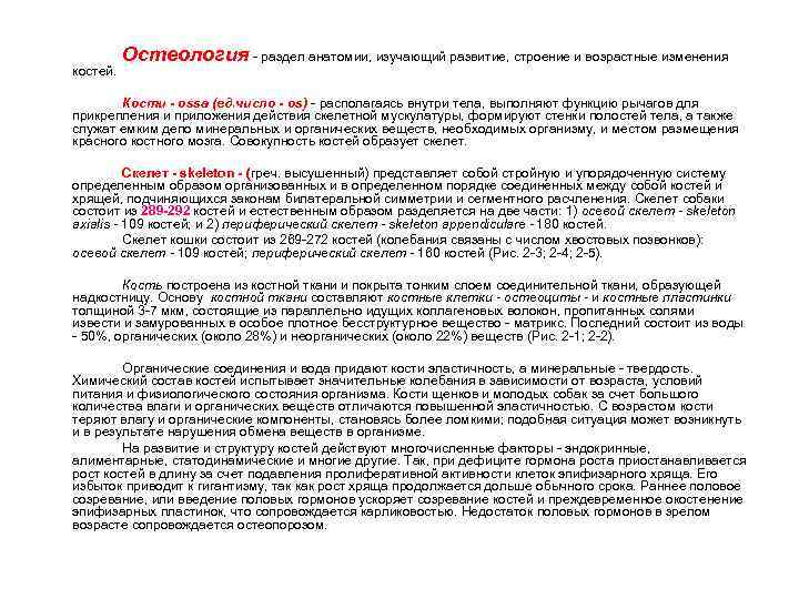 костей. Остеология - раздел анатомии, изучающий развитие, строение и возрастные изменения Кости - ossa