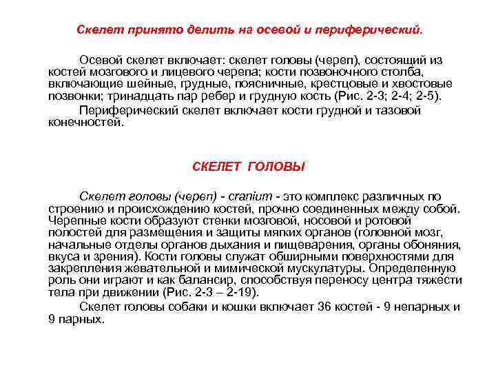 Скелет принято делить на осевой и периферический. Осевой скелет включает: скелет головы (череп), состоящий