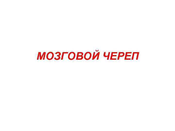 МОЗГОВОЙ ЧЕРЕП 
