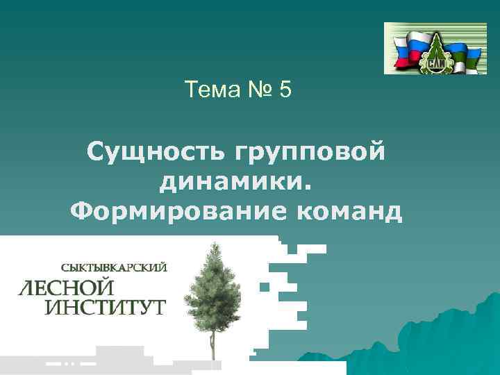 Тема № 5 Сущность групповой динамики. Формирование команд 