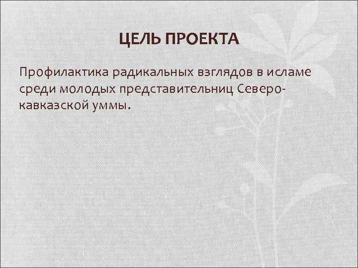 ЦЕЛЬ ПРОЕКТА Профилактика радикальных взглядов в исламе среди молодых представительниц Северокавказской уммы. 