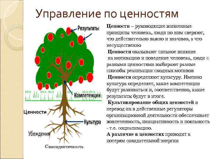 Управление по ценностям Ценности Самоидентичность Ценности – руководящие жизненные принципы человека, люди по ним
