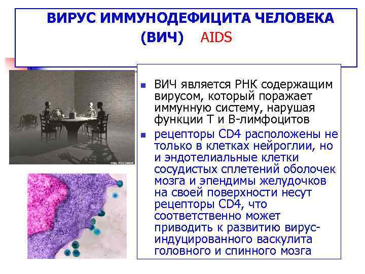 ВИРУС ИММУНОДЕФИЦИТА ЧЕЛОВЕКА (ВИЧ) AIDS n n ВИЧ является РНК содержащим вирусом, который поражает