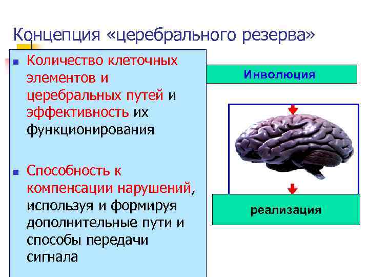 Концепция «церебрального резерва» n n Количество клеточных элементов и церебральных путей и эффективность их