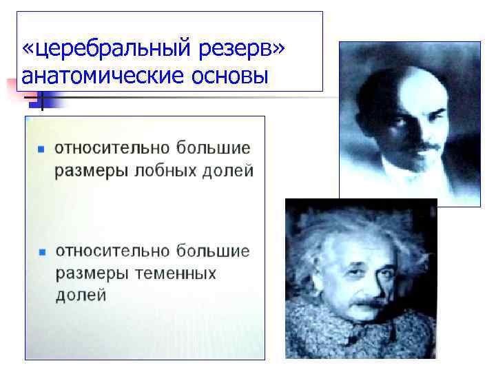  «церебральный резерв» анатомические основы 